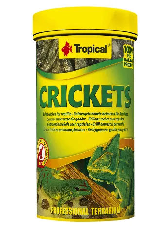 Корм для м'ясоїдних і всеїдних рептилій Crickets 250ml/25g
