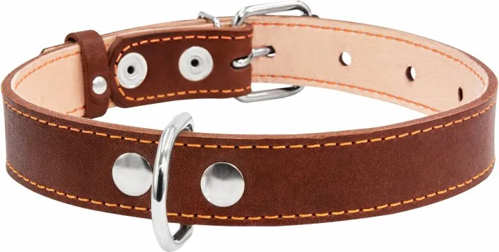 02296 Нашийник "CoLLaR" подвійний (шир.25мм, довж.38-50см) коричневий