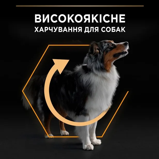 ProPlan Adult Medium для соб. середніх порід з куркою 1кг