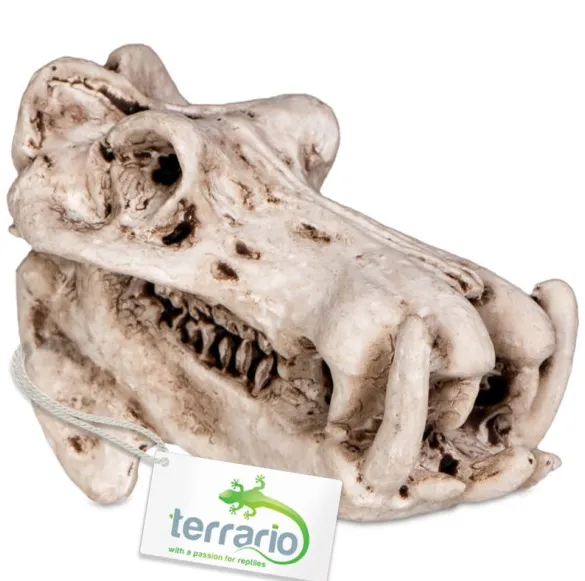 Декорація череп бегемота Terrario Hippo Skull 5*3*3см TR533
