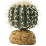 Рослина на підставці Barrel Cactus Small