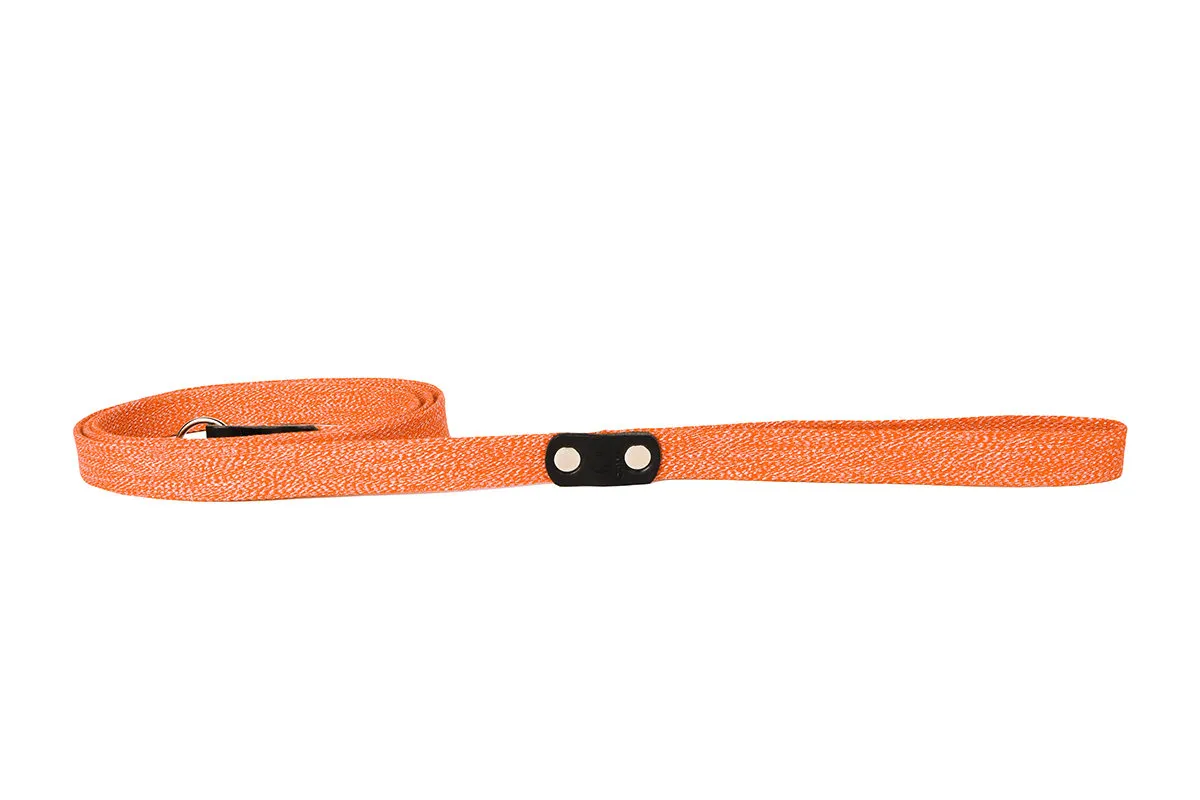 CoLLaR повідець з бавовняної стрічки (кольоровий), W 20 мм, L 300 см
