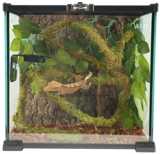 Ліана з натуральним мохом Repti-Zoo RV0215 1,5см x 2м