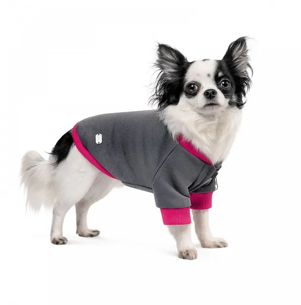 Толстовка Pet Fashion BIM S для собак