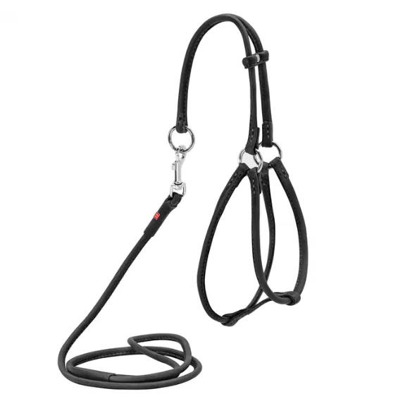 06666/06661/46221/46226 Шлея WAUDOG Soft шкіряна кругла чорна або коричнева в асорт.