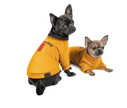 Толстовка superdog M