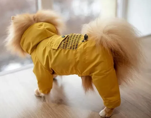 Дощовик кишеня гірчиця 5 M-65/5