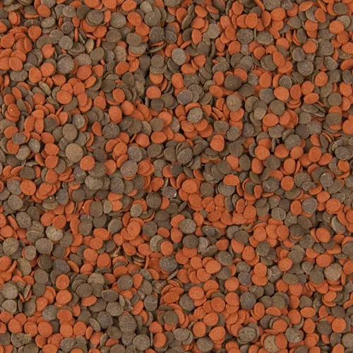 CICHLID CHIPS 0,1кг