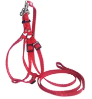 CoLLaR Dog Extremе шлея з нейлону для котів, кроликів і морських свинок регульована з повідцем (червона), W 10, А 28-40 см