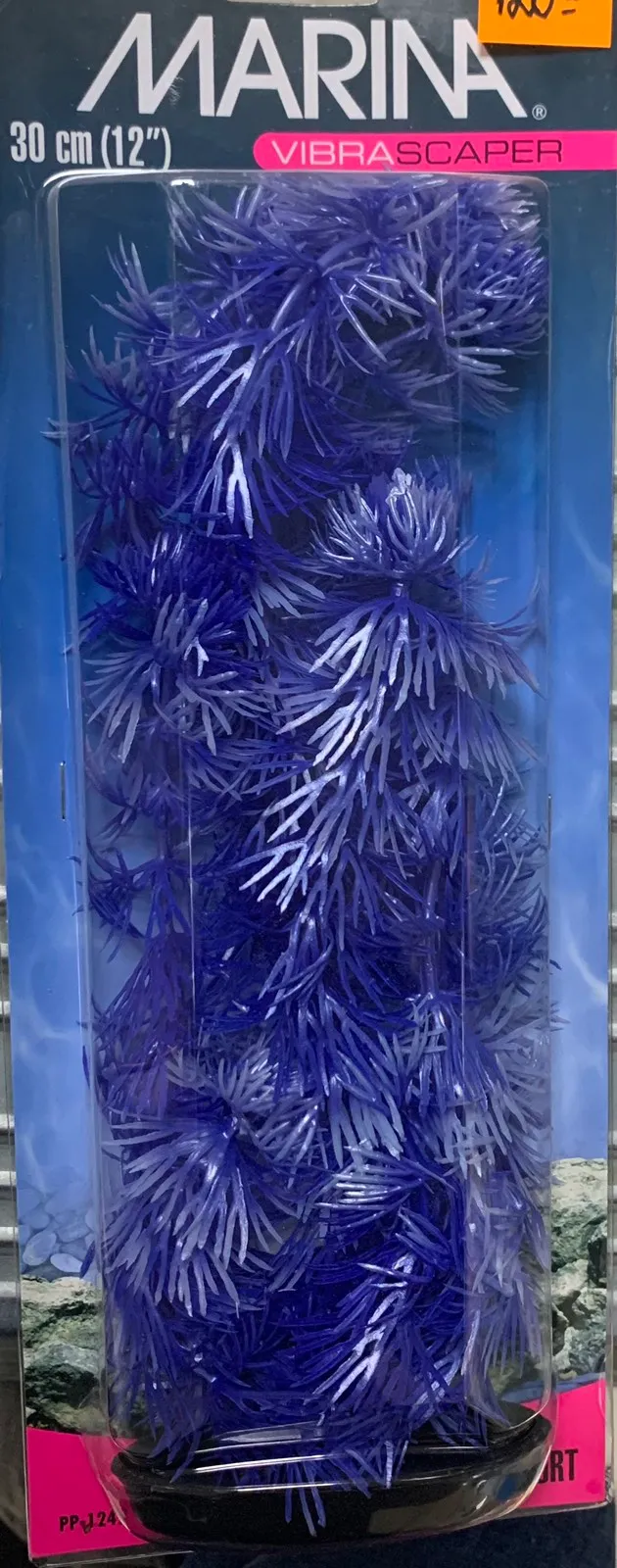 Marina HORNWORT babyblau 30см