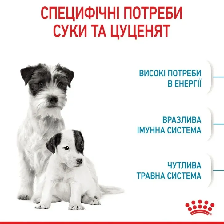 Royal Canin, Mini Starter 1кг