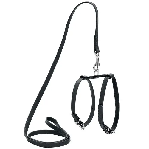 33991 Шлея з повідцем для собак шкіряна WAUDOG Glamour, Ш 9мм, А 20-30см, В 30-40см чорний