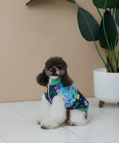 Жилет Pet Fashion Grass M