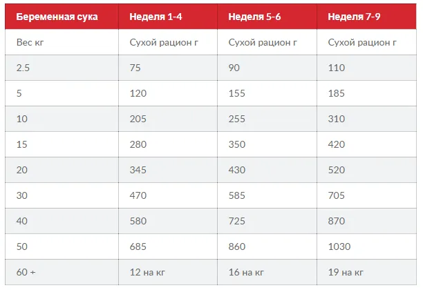 SP Puppy HDev L&R-цуценята(медіум) здоровий розвиток, ягня та рис 1кг