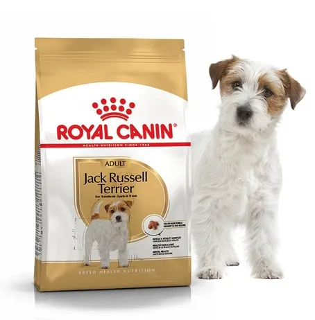 Royal Canin, Jack Russel Terrier Adult, для дорослих собак від 10 міс. 500 г