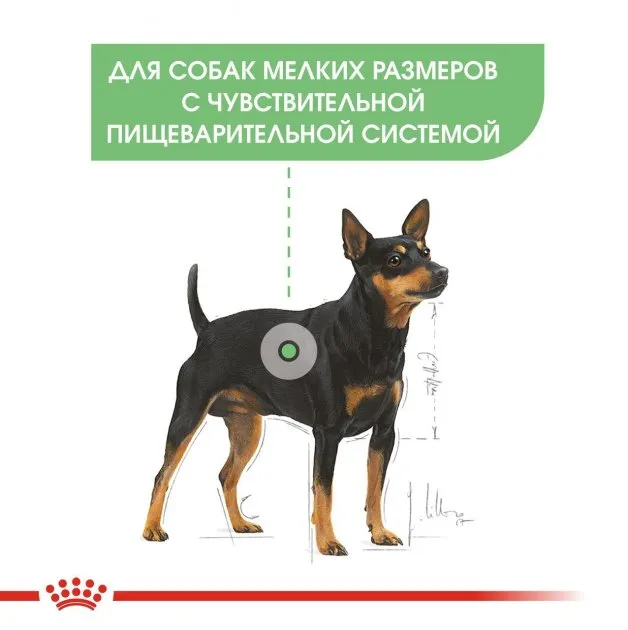 Royal Canin, Mini Digestive care, 3кг