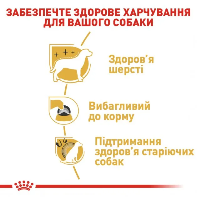 Royal Canin, Yorkshire Terrier Adult 3кг