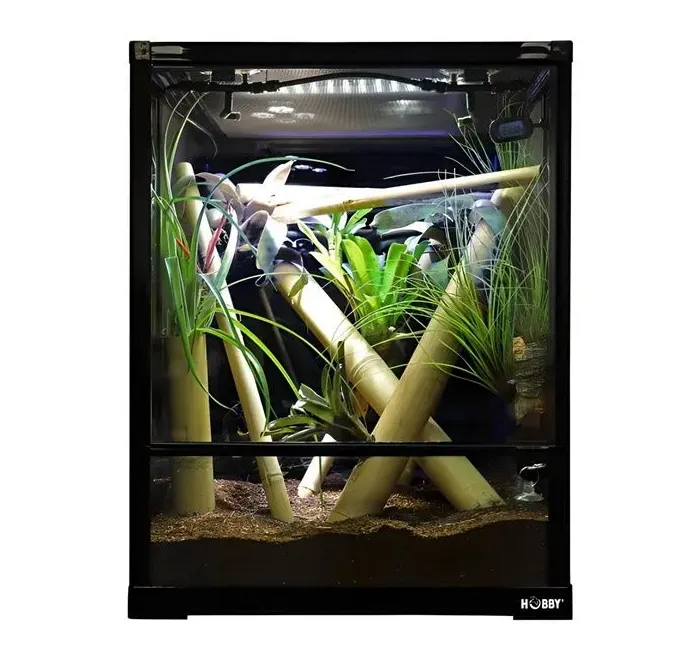 Тераріум скляний Hobby Terra Fix & Easy 45 45x45x60см (аналог RK0110S)
