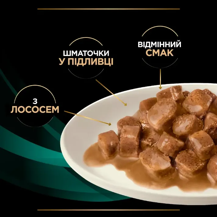 PPVD Фелін ЕН Шу П (EN GASTROINTESTINAL) Лосось для котів 85г