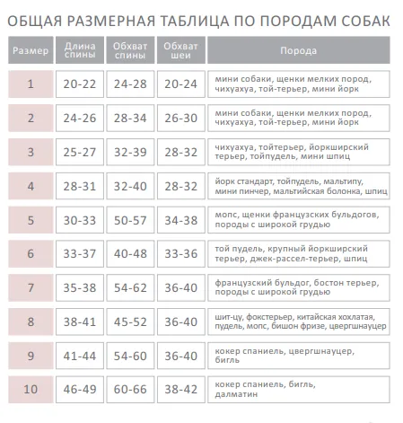 Дощовик на змійці зелений розмір 2 MZ-1/2