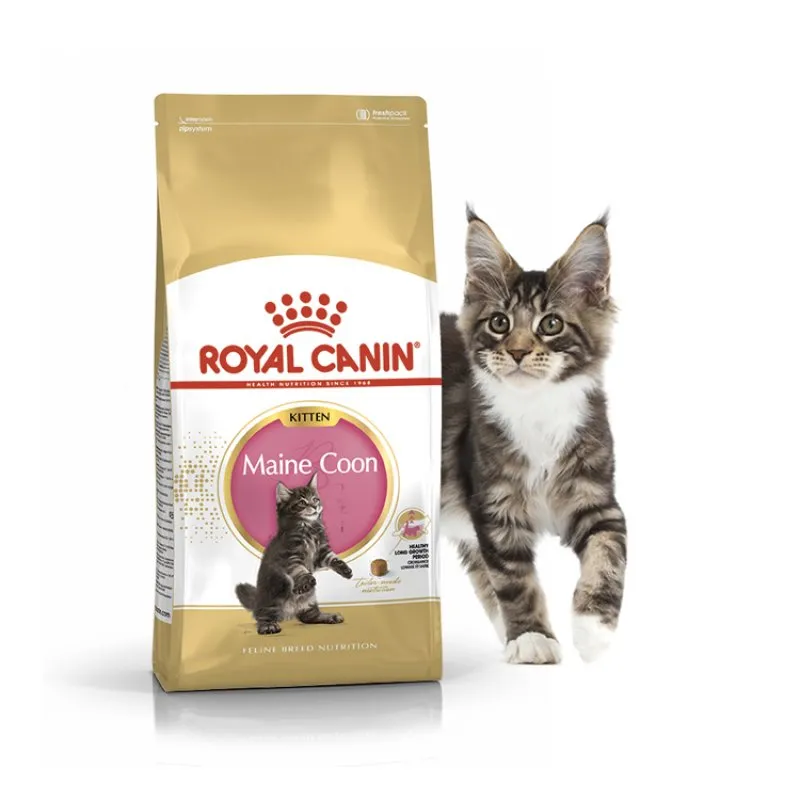 Royal Canin Maine Coon Kitten сухий корм для кошенят мейн-кунів, 2 кг