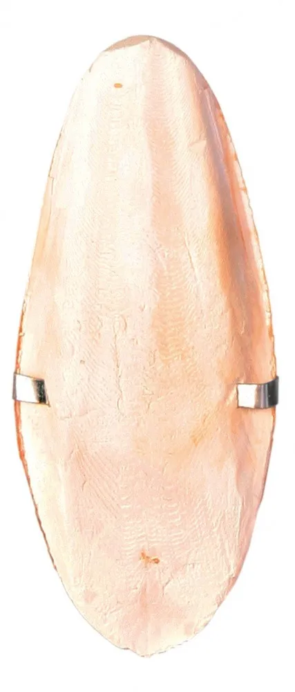 Trixie Cuttle Fish Bone сепія для птахів з тримачем, 12 см