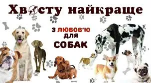 Шиї курячі ласощі для собак, 1 кг