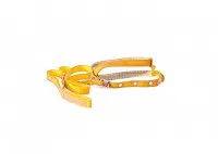 CoLLaR шлея капронова з повідцем (жовта), W 14 мм, L 130 см