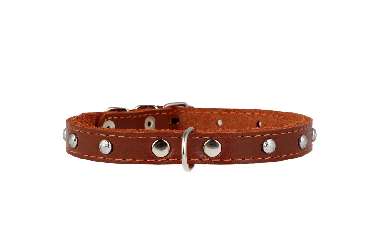 CoLLaR нашийник одинарний з прикрасами, W 12 мм, L 24-32 см