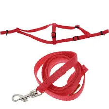 CoLLaR Dog Extremе шлея з нейлону регульована з повідцем (червона), W 15, А 40-55 см