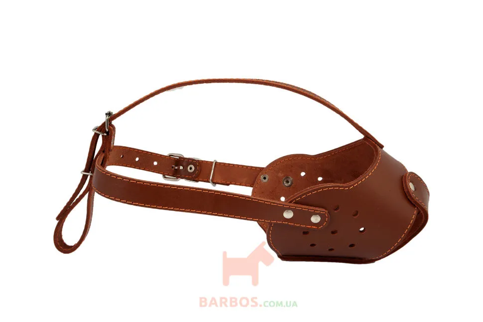 CoLLaR Намордник (бультер'єр)