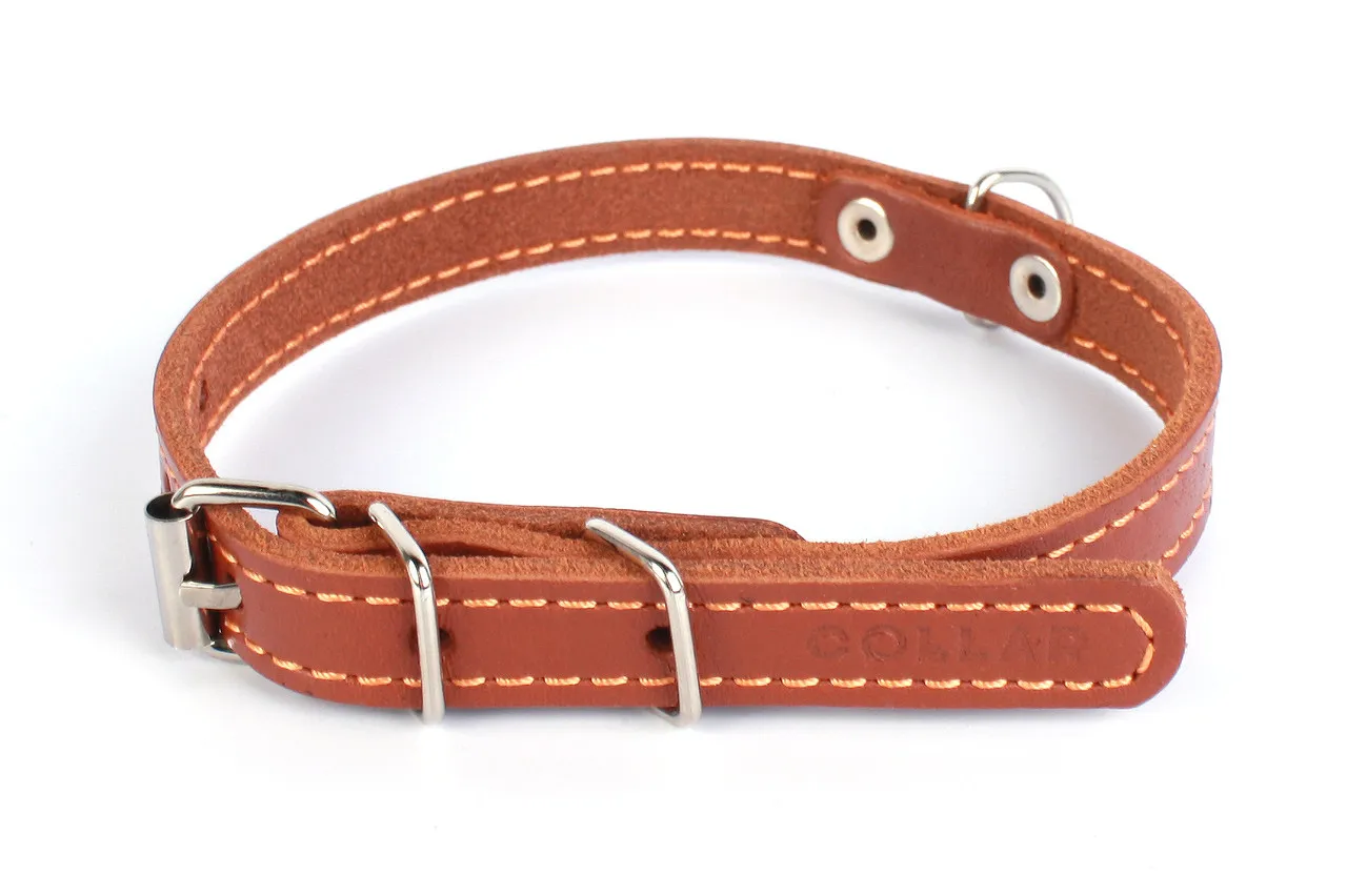 CoLLaR нашийник одинарний (коричневий), W 20 мм, L 32-40 см