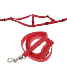 CoLLaR Dog Extremе шлея з нейлону для морських свинок, декоративних крис регульована з повідцем (червона), W 10, В 12-22 см