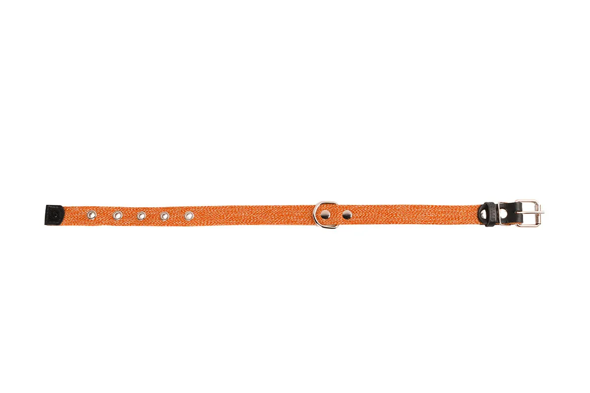 CoLLaR нашийник з бавовняної стрічки кольоровий, W 20 мм, L 31-41 см