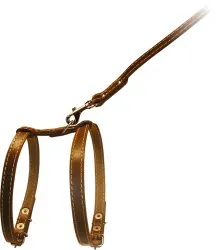 CoLLaR шлея з повідком для дрібних собак, W 14, А 27-35 см, В 35-45 см, L 122 см