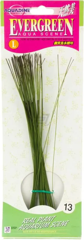 Штучна рослина шовкова Evergreen L13, 25 см