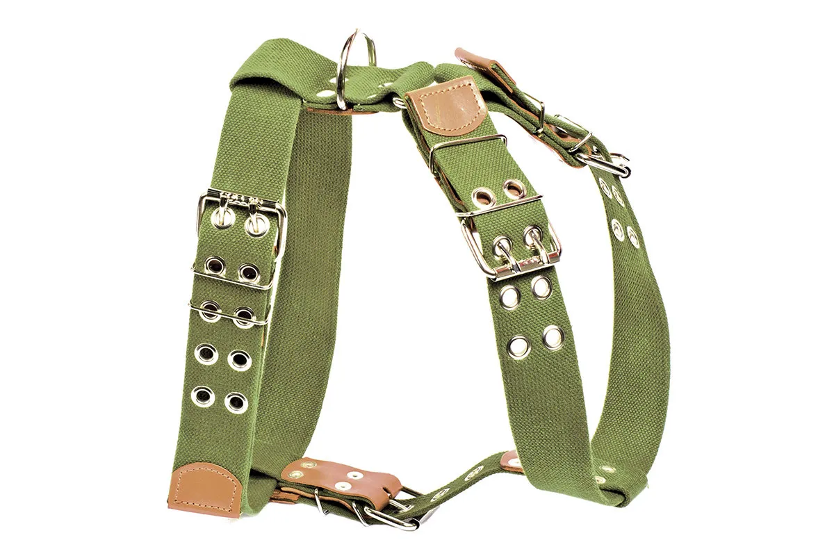 CoLLaR шлея з бавовняної стрічки для великих собак №1, W 45 мм, А 59-77 см, В 77-89 см