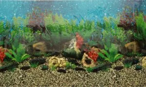Фон для акваріуму 50см 25м 2-сторонній (Китай)