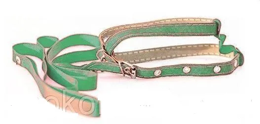 CoLLaR шлея капронова з повідцем (салатова), W 14 мм, L 130 см