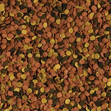 Корм Tropical Supervit Chips, 100 г — фото, характеристики, купити в «Живий Куток»