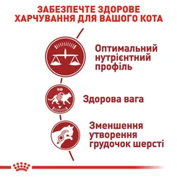 Royal Canin, FIT 32 для активних кішок, 4кг