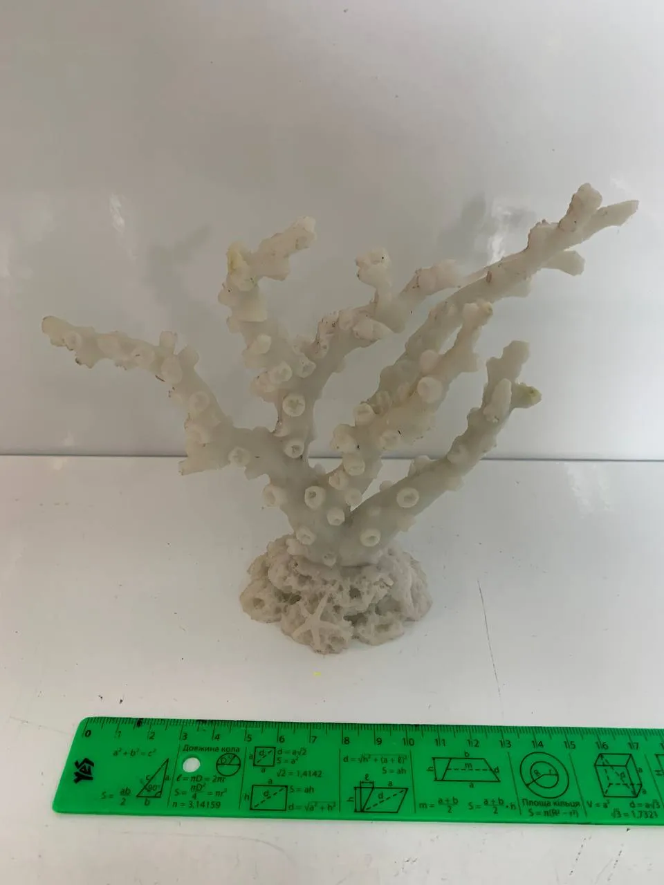 Корал 18*6*15см білий 1432W