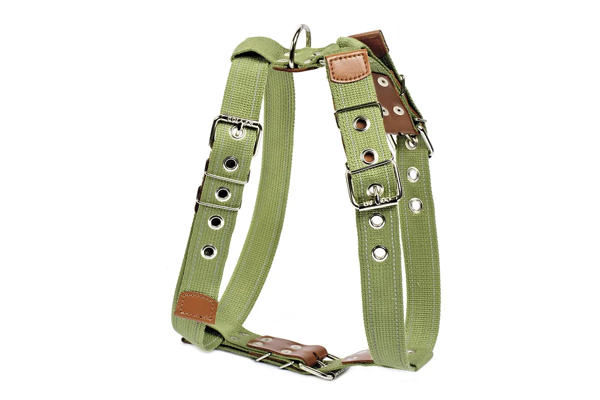 CoLLaR шлея з бавовняної стрічки для великих собак №3, W 35 мм, А 72-94 см, В 93-105 см
