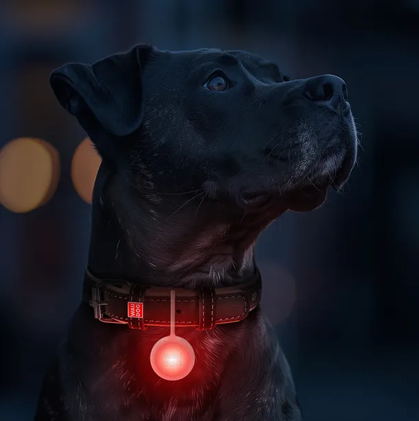 8882 Ліхтарик WAUDOG LED USB-C