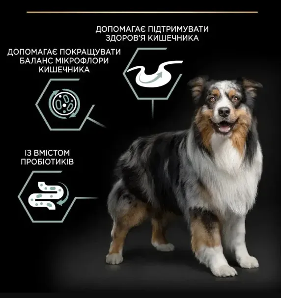 ProPlan Adult Medium з ягням для соб. середніх порід з чут. травл. 1кг