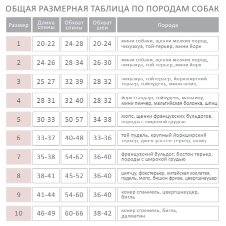 Толстовка Dream розмір 4 Y-199/4