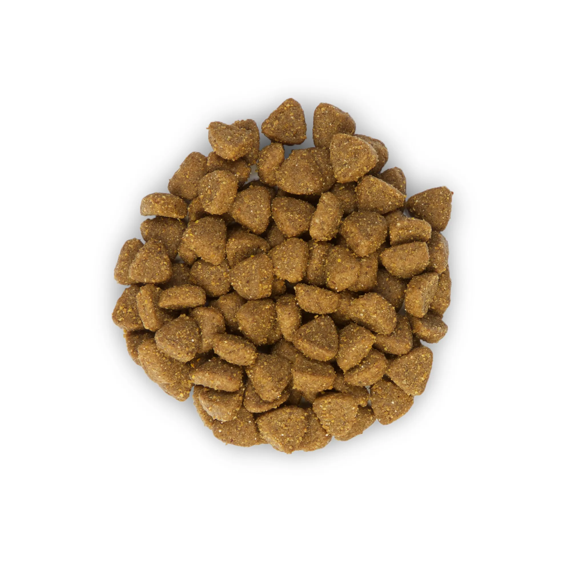 SP Hills Kitten Ch-Котята./курка-0,3кг