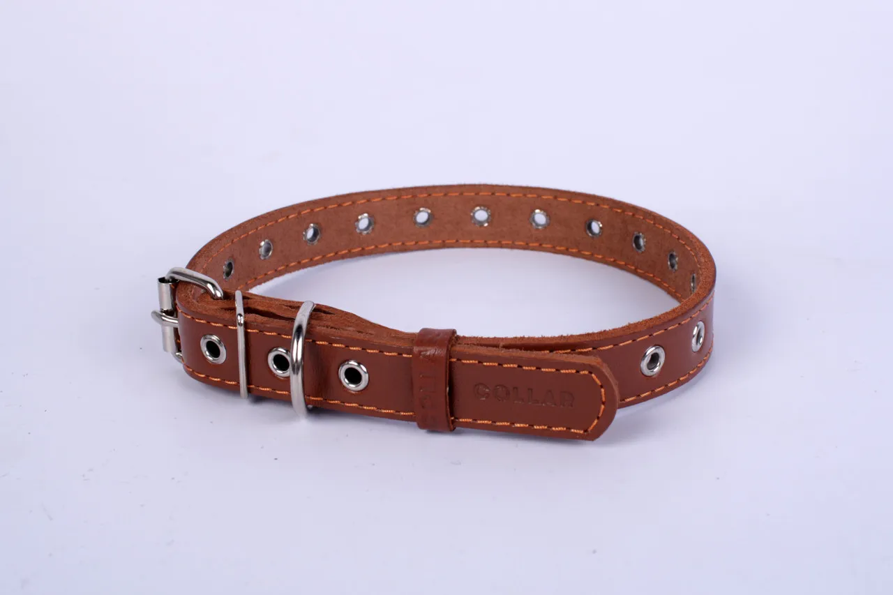 CoLLaR нашийник безрозмірний (коричневий), W 35 мм, L 69 см