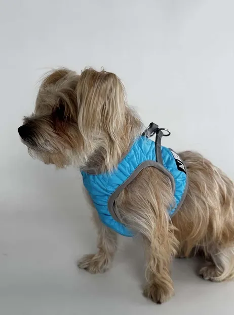 29382 Шлея м'яка AiryVest One XS2 блакитна - фото 5, характеристики, купити в «Живий Куток»