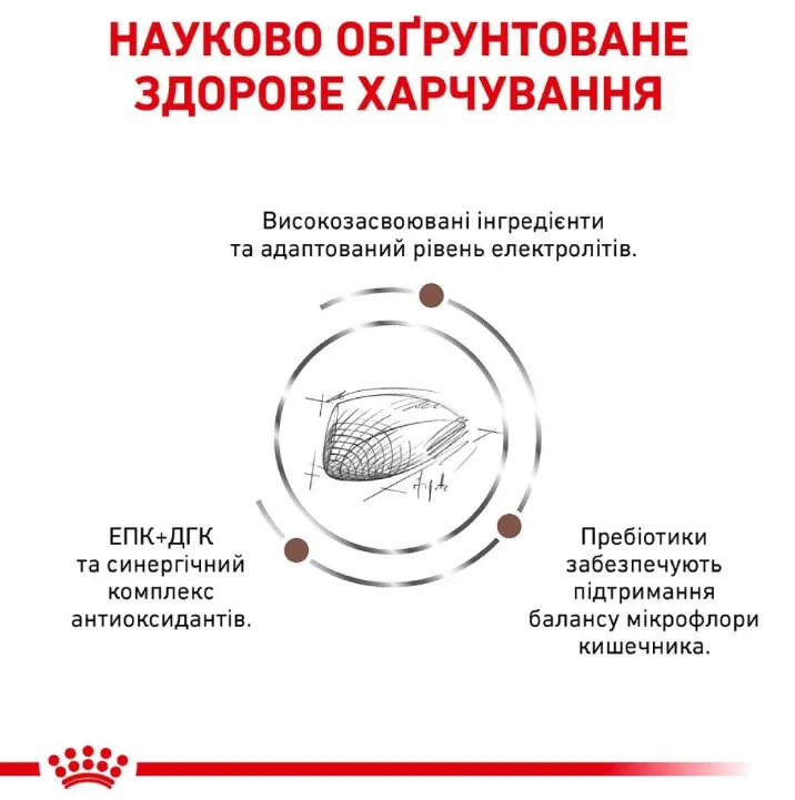 Royal Canin, Gastrointestinal Feline 4кг